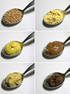 Different Types Of Mustard