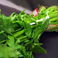 chinese celery