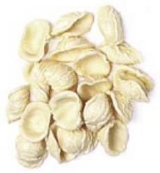 Orechiette