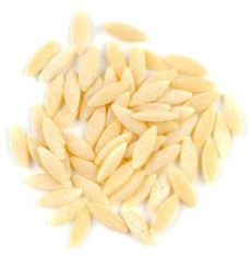 Orzo