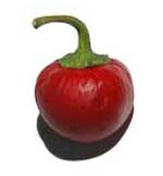 Cherry Pepper