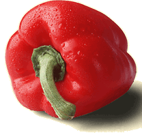 Red Bell Pepper