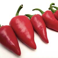Fresno Chile