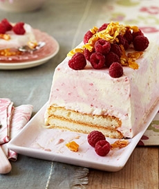 Frozen Raspberry Terrine