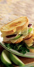 Turkey & Fontina Sandwich