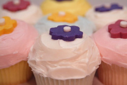 Gourmet Cupcakes