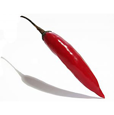 Serrano Chile