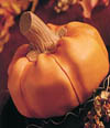 Pumpkin Cheesecake