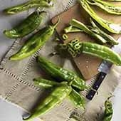 Hatch Chiles