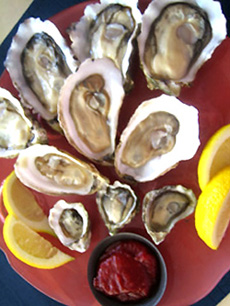 Willapa Oysters