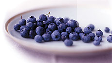 Vital Choice Blueberries
