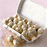 Knipschildt Chocolate Quail Eggs