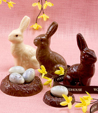 Chocolate Easter Bunnies - Woodhouse