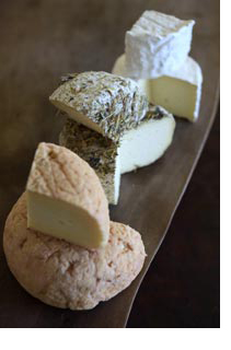 Cowgirl Creamery Cheeses