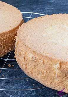 Viennese Sponge Cake