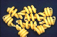Trottole