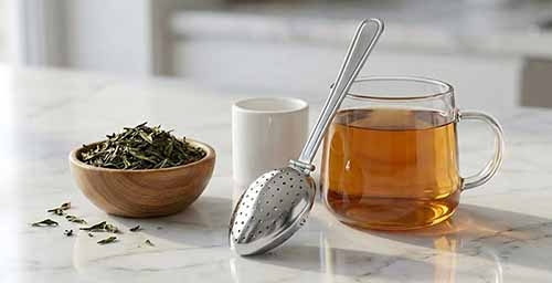 Tea Infuser Spoon