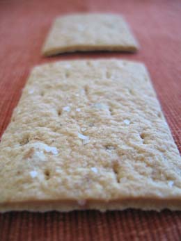Starr Ridge Red Onion Cracker