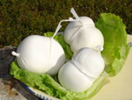 Scamorza