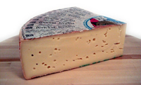 Fontina