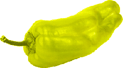 Pepper