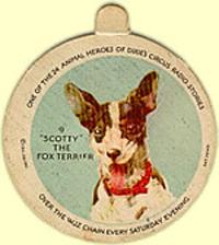 Dixie Cup Lid Underside