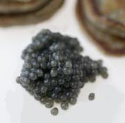 Paddlefish  Caviar