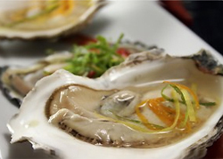 Pacific Oyster
