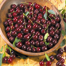 Cherries