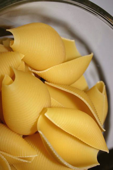 Shells - Shell Pasta