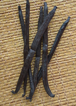 Papua New Guinea Vanilla Beans