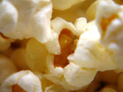 popcorn kernel