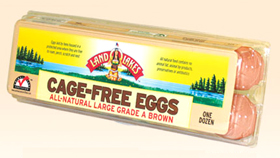 Cage Free Hens