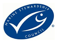 MSC Logo