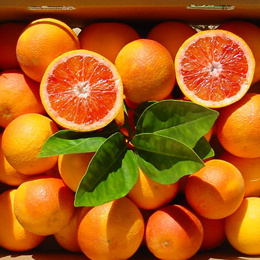 Laraha Citrus Fruit