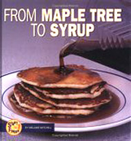 From Maple Tree To Syrup