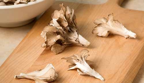 Maitake Mushrooms