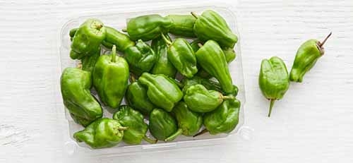 Padron Chiles