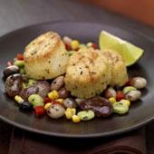 Sauteed Scallops