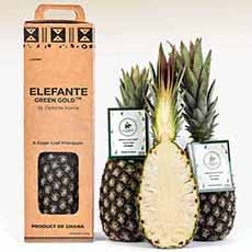 Elefante Green Gold Pineapple