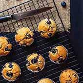 Blueberry Muffins