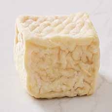 Geotritichum "Wrinkled" Cheese