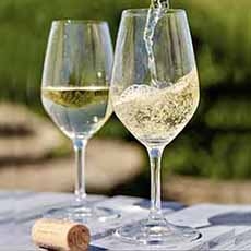 Furmint Wine