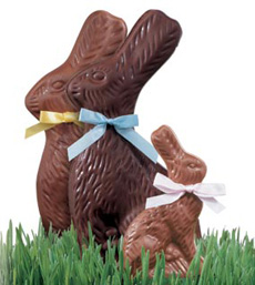 chocolate rabbit