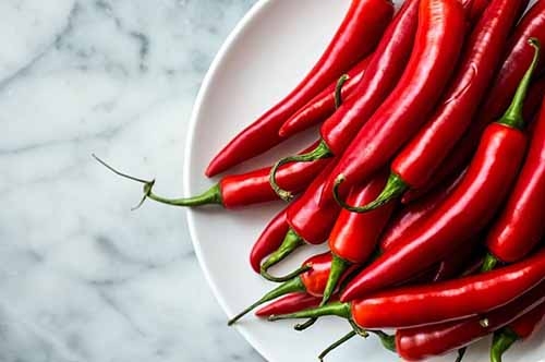 Cayenne Chile Peppers