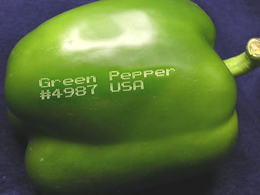 Green Pepper With Laser Marking