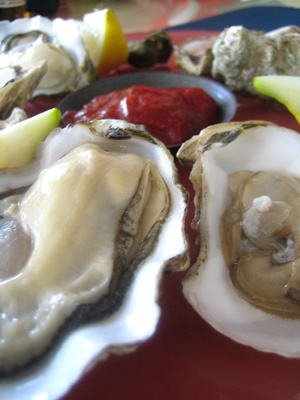 Pacifica and Virginia Oysters